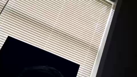 fer28639 online show from September 24, 2025, 6:00 pm