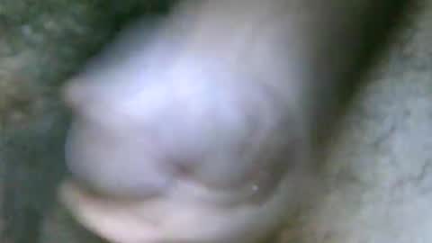 fer_2197 online show from October 31, 2025, 1:45 pm