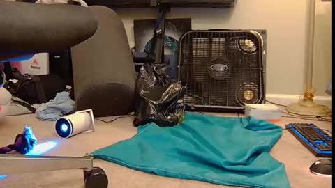 FE fee online show from October 6, 2025, 6:00 am