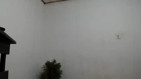 fernandez_latinblack online show from December 2, 2024, 4:20 am