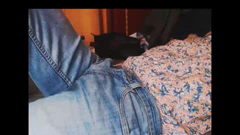 ferra_testarossa online show from September 11, 2025, 3:06 am