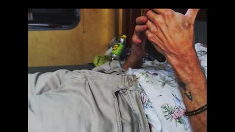 ferra_testarossa online show from October 9, 2025, 5:05 am