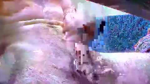 fetish_bigballs online show from November 5, 2025, 8:25 am