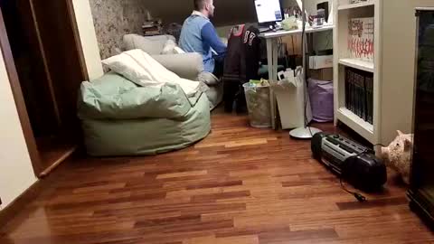 Fid online show from February 17, 2025, 8:58 pm