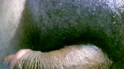 filedbc2024 online show from March 9, 2025, 4:49 am