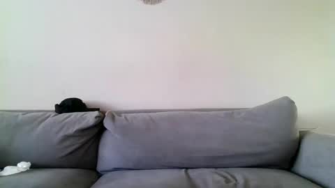 Snapshot of filthymilfndaddy chatting on December 27, 2024, 6:53 pm MilfnDaddy online show from December 27, 2024, 6:53 pm