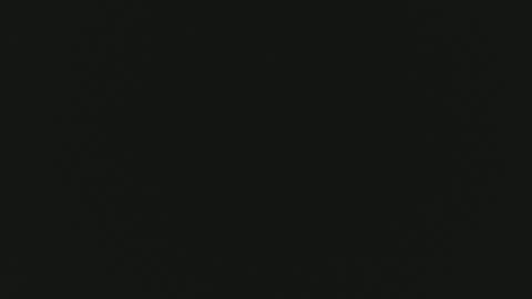 F I O R E L L A  online show from April 19, 2026, 2:16 pm