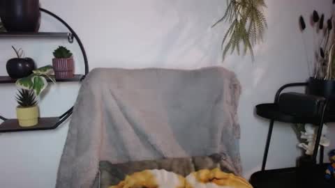 fitness1989 online show from July 20, 2026, 8:55 pm