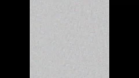 Flynn online show from March 29, 2026, 7:19 am