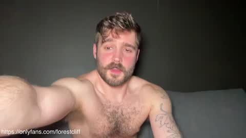 Forest online show from January 4, 2025, 1:31 am