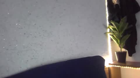 fox_red_lady7 online show from February 8, 2025, 8:42 am