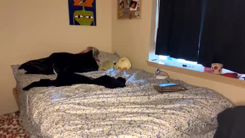 beautiful blair online show from January 9, 2025, 7:18 pm