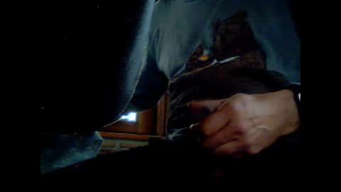 fra  71 online show from March 8, 2026, 6:06 am