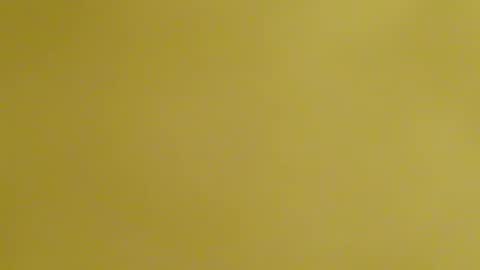 frankyb0yforeal online show from February 24, 2026, 7:28 am