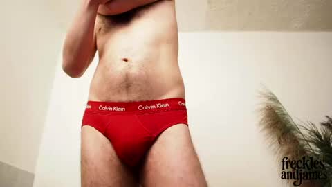 Snapshot of frecklesandjames chatting on June 23, 2026, 1:42 pm frecklesandjames online show from June 23, 2026, 1:42 pm