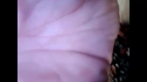 frecklesandsparky online show from April 4, 2026, 2:25 pm