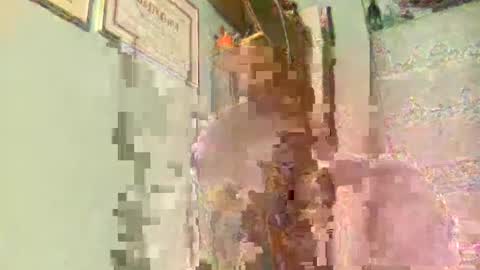 freddy3399 online show from December 17, 2024, 2:44 am