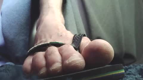 Greedy Fred online show from February 18, 2026, 2:13 pm