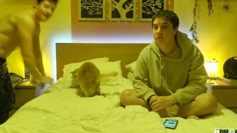 Snapshot of frenchhornybibs chatting on January 26, 2025, 8:02 pm French Horny Bibs online show from January 26, 2025, 8:02 pm