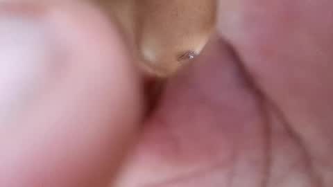 Snapshot of frey212121 chatting on February 17, 2025, 8:47 pm Phantom online show from February 17, 2025, 8:47 pm