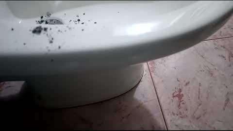 Hornycouple1386 online show from January 31, 2025, 8:54 pm