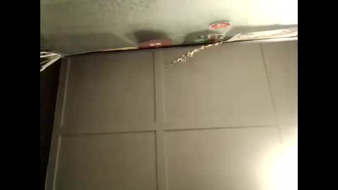 Snapshot of fucmebudoo chatting on October 10, 2025, 8:46 am Warwick online show from October 10, 2025, 8:46 am
