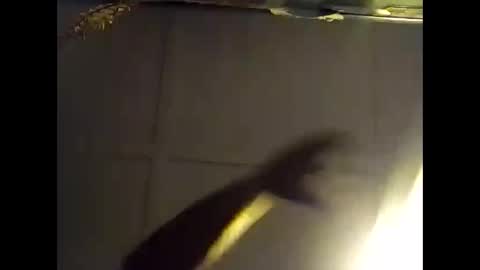 Warwick online show from October 28, 2025, 7:34 am