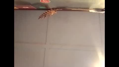 Warwick online show from October 30, 2025, 7:10 am