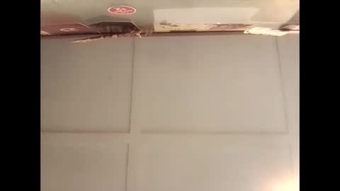 Warwick online show from November 10, 2025, 2:43 am