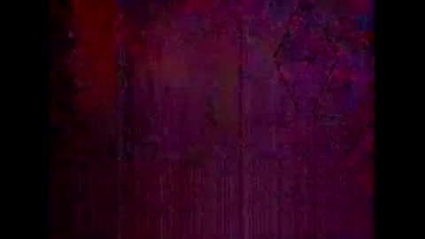 Warwick online show from February 9, 2026, 11:36 am