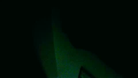 Snapshot of fultonstreet196860 chatting on December 30, 2024, 6:42 am fultonstreet196860 online show from December 30, 2024, 6:42 am