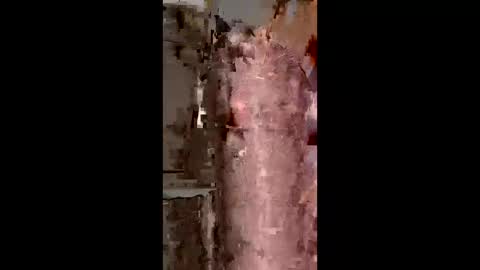 Funguyy0 online show from March 15, 2026, 12:44 pm