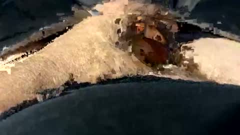 funtime741 online show from December 10, 2024, 2:16 am