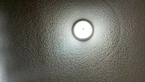 furburgermuncher89 online show from February 22, 2025, 11:24 pm