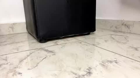 Gabriela Tafur online show from January 16, 2026, 12:58 am