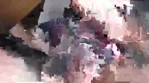 Gansozo online show from November 23, 2025, 11:26 pm