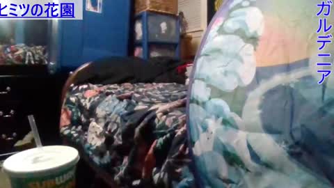 Gardenia online show from December 25, 2024, 12:37 am