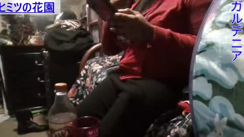 Gardenia online show from January 12, 2025, 7:11 am