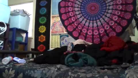 Gardenia online show from March 29, 2026, 11:38 pm