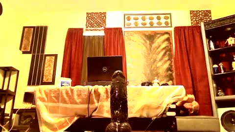 Snapshot of gatewaylaptop2019 chatting on March 9, 2025, 2:10 pm gatewaylaptop2019 online show from March 9, 2025, 2:10 pm