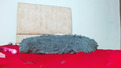 Snapshot of gatita13333321 chatting on January 26, 2025, 5:56 am gatita13333321 online show from January 26, 2025, 5:56 am