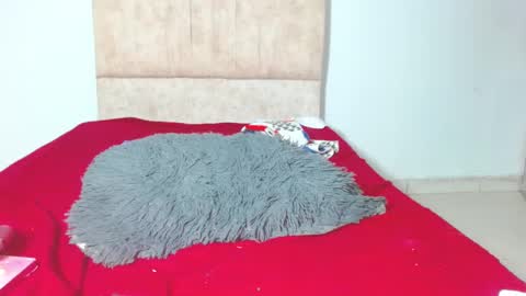 Snapshot of gatita13333321 chatting on January 28, 2025, 6:05 am gatita13333321 online show from January 28, 2025, 6:05 am