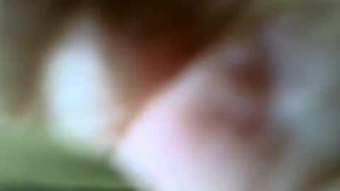 Snapshot of gazjones231 chatting on November 16, 2025, 12:22 pm gazjones231 online show from November 16, 2025, 12:22 pm