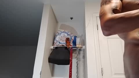 Zanecubano online show from September 13, 2025, 9:53 am