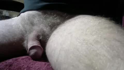 gemini_2 online show from January 4, 2025, 6:09 pm