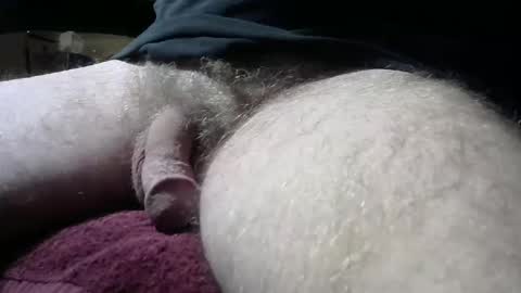 gemini_2 online show from February 9, 2025, 6:54 am