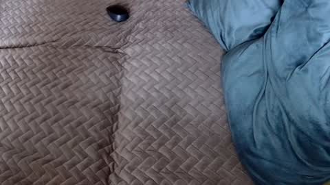 Melissa online show from November 30, 2025, 10:19 am