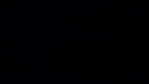 giftedbiker online show from November 27, 2025, 2:57 am