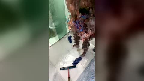 gifted online show from April 20, 2026, 7:00 am