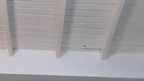 gigi wilden online show from January 15, 2025, 2:24 pm